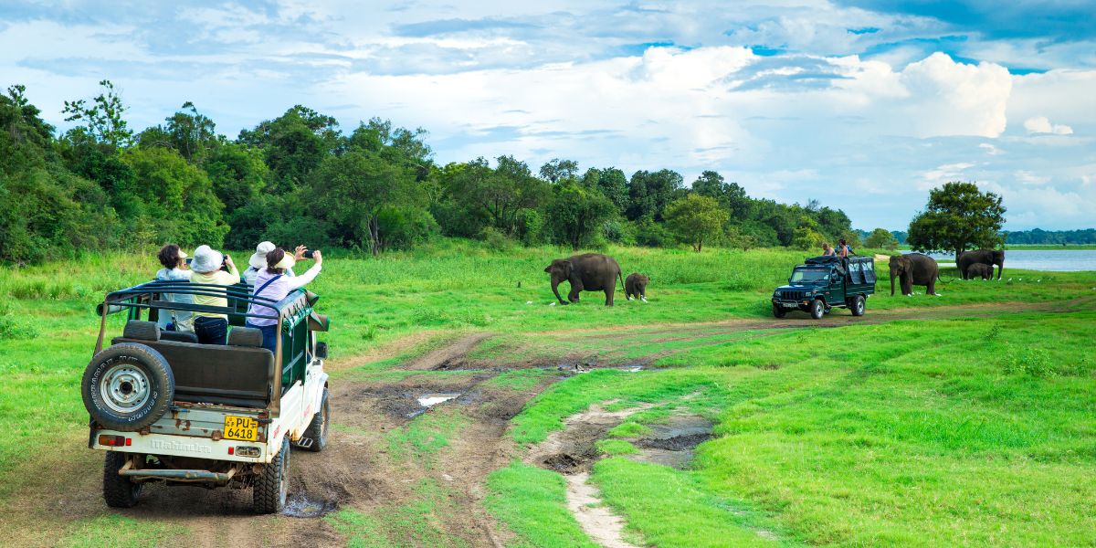 Sri Lanka Tour Package from Nepal